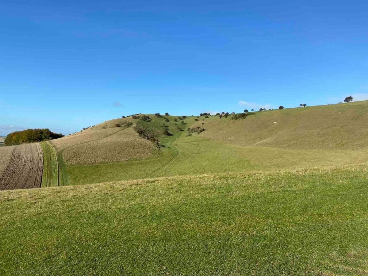 Pewsey Retreat 3 Sleeps -Petfriendly Bbq Parking公寓 外观 照片